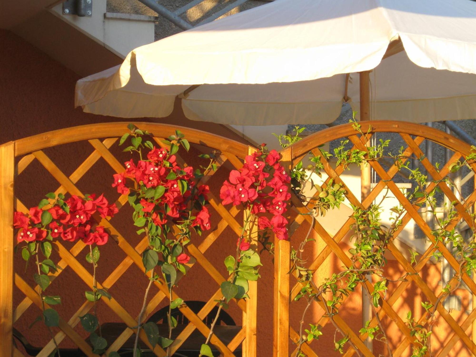 A Due Passi Dal Mare B&B Numana Extérieur photo